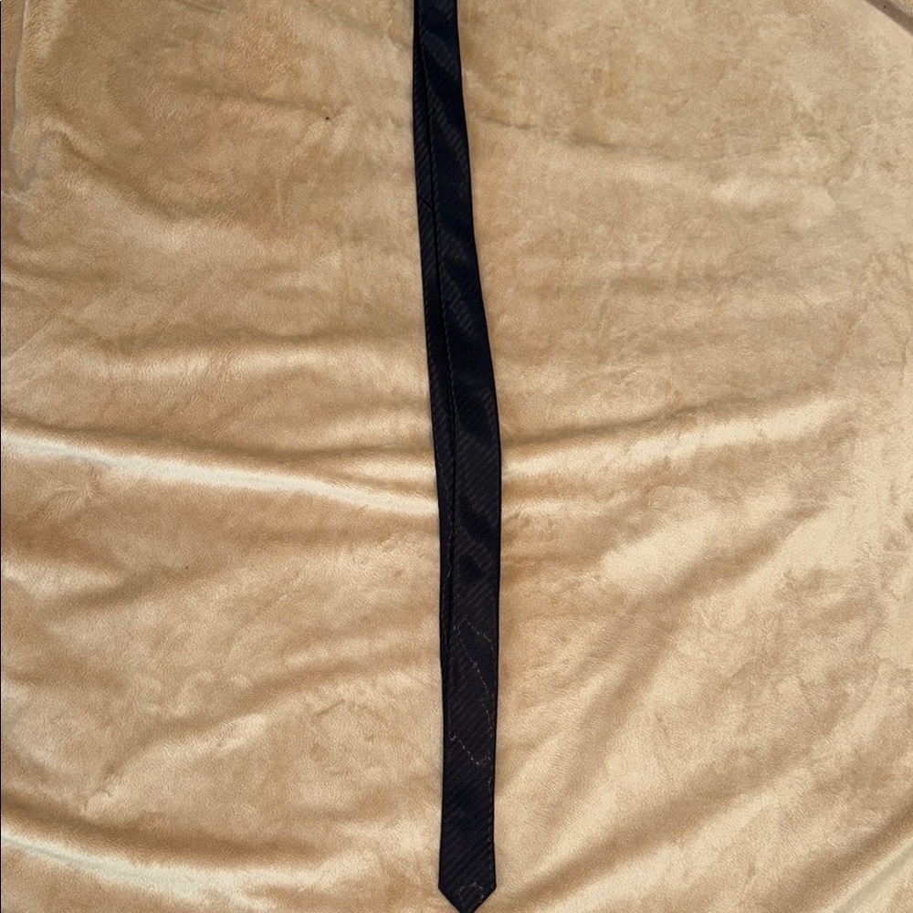 Christian Dior Tie